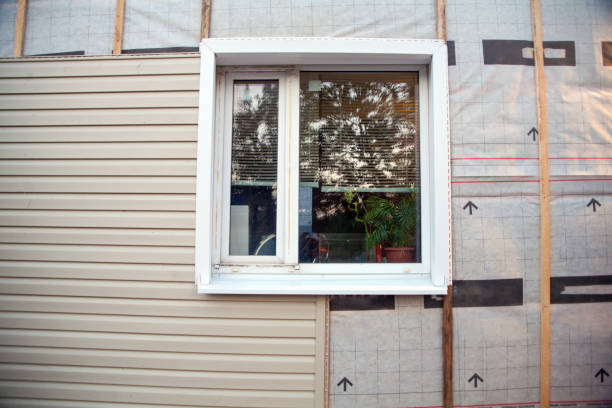 Trusted Cottage Grove, MN Siding Installation & Repair Experts